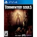 Tormented Souls (PS4) купить в интернет-магазине ⭐ GameSpot.com.ua ⭐ Tormented Souls (PS4), ,